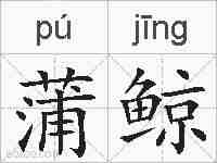 蒲鲸的拼音