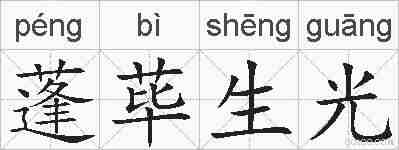 蓬荜生光的拼音