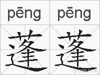 蓬蓬的拼音