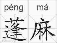 蓬麻的拼音