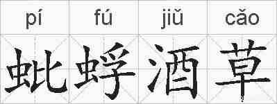 蚍蜉酒草的拼音