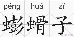 蟛螖子的拼音