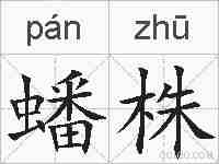 蟠株的拼音