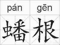 蟠根的拼音