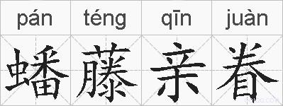 蟠藤亲眷的拼音