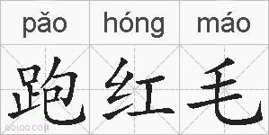跑红毛的拼音