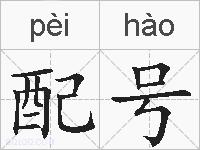 配号的拼音