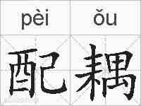 配耦的拼音