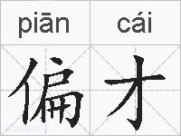 偏才的拼音
