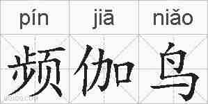 频伽鸟的拼音