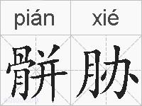 骿胁的拼音