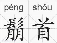 鬅首的拼音