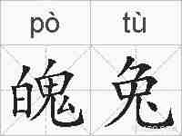 魄兔的拼音