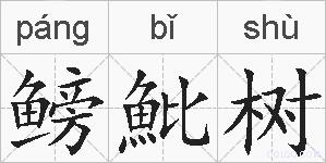 鳑魮树的拼音