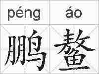 鹏鳌的拼音