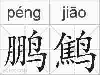 鹏鹪的拼音