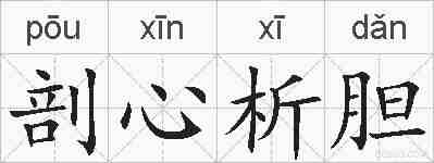 剖心析胆的拼音