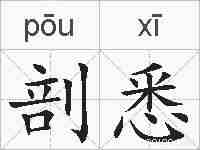 剖悉的拼音