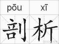 剖析的拼音