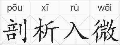 剖析入微的拼音