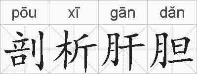 剖析肝胆的拼音