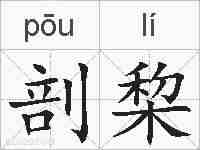 剖棃的拼音