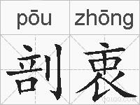 剖衷的拼音