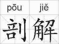 剖解的拼音