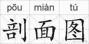 剖面图的拼音