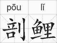 剖鲤的拼音