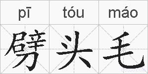 劈头毛的拼音