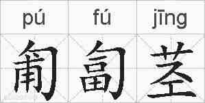 匍匐茎的拼音