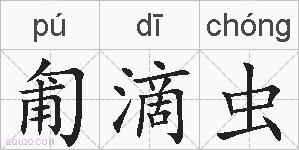 匍滴虫的拼音