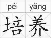 培养的拼音