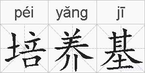 培养基的拼音