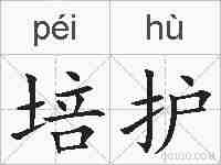培护的拼音