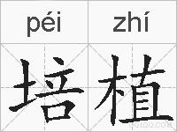 培植的拼音