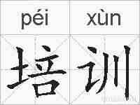 培训的拼音