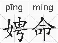 娉命的拼音