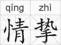 情挚的拼音