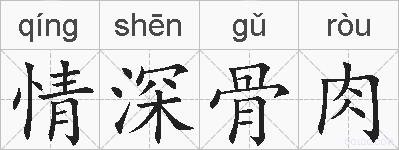 情深骨肉的拼音