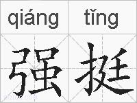 强挺的拼音