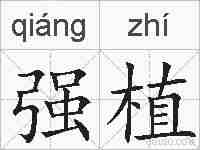 强植的拼音