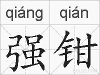 强钳的拼音