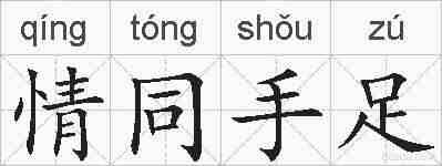 情同手足的拼音