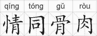情同骨肉的拼音