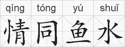 情同鱼水的拼音