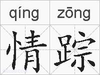 情踪的拼音