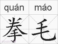 拳毛的拼音