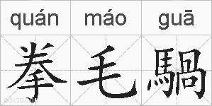 拳毛騧的拼音